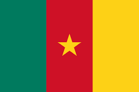 Flag 4